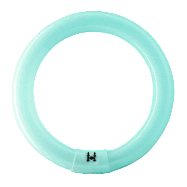 PHILIPS 84050600 FLUORESCENT CIRCULAR TLE 22W/840 4000K